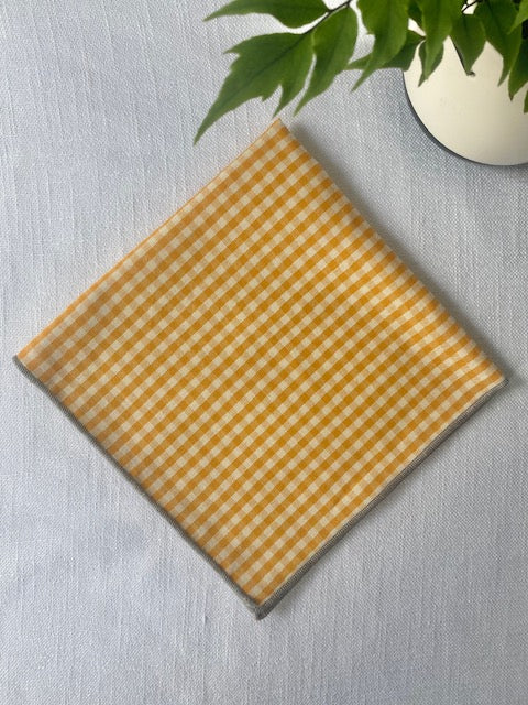 Gingham Multiple Colors Napkin - Set of 2